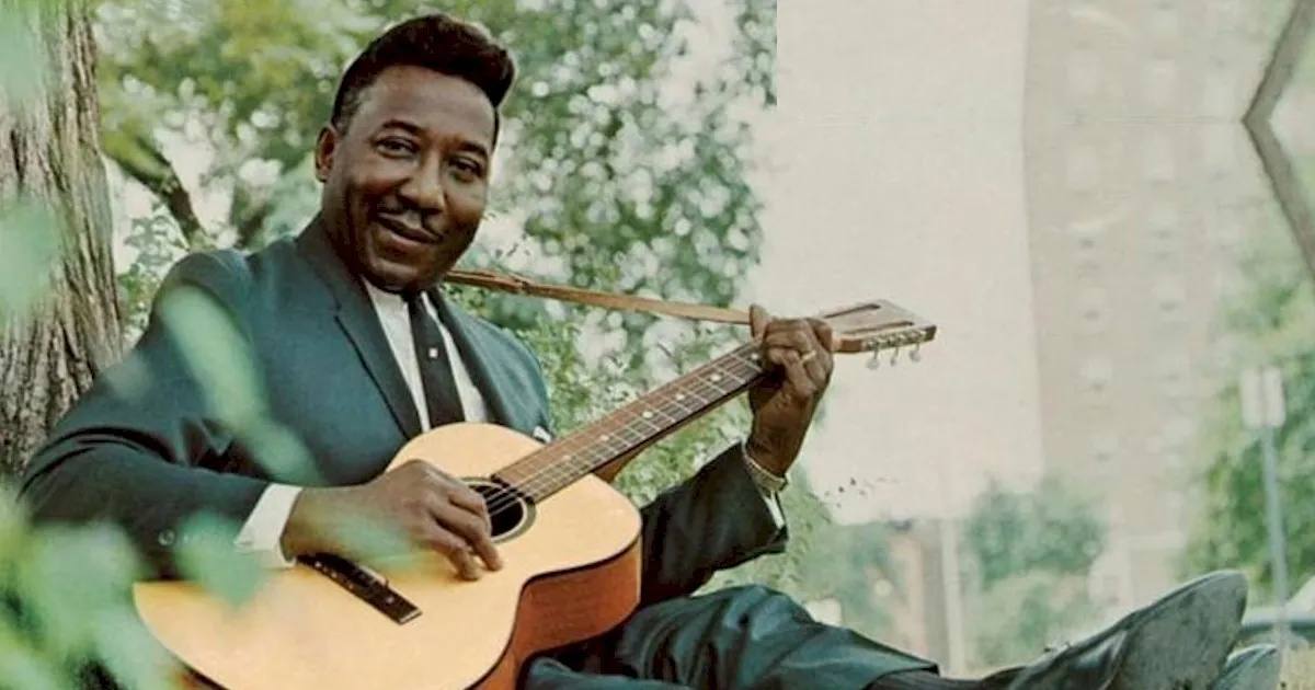 Muddy Waters
